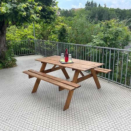 Paisible Eden Standing Terrasse - Magnifique Vue - Esprit Nature En Pleine Ville Tulle Zewnętrze zdjęcie